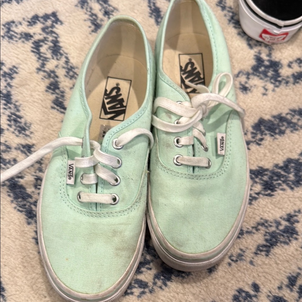 Vans Light Green Canvas Shoes